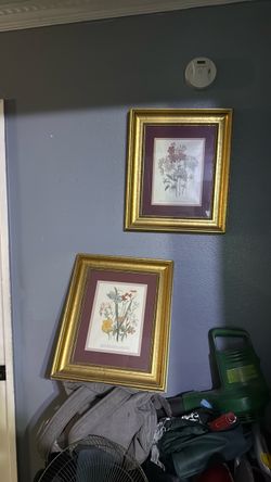 Flower picture frames