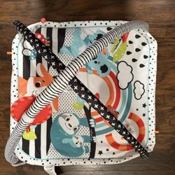 Fisher Price Play Mat
