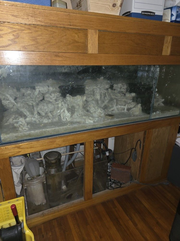 Aquarium 300 Gallon