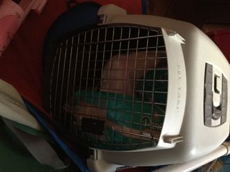 Pet taxi