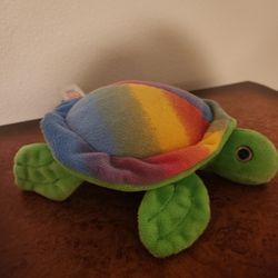NWOT Rainbow Turtle