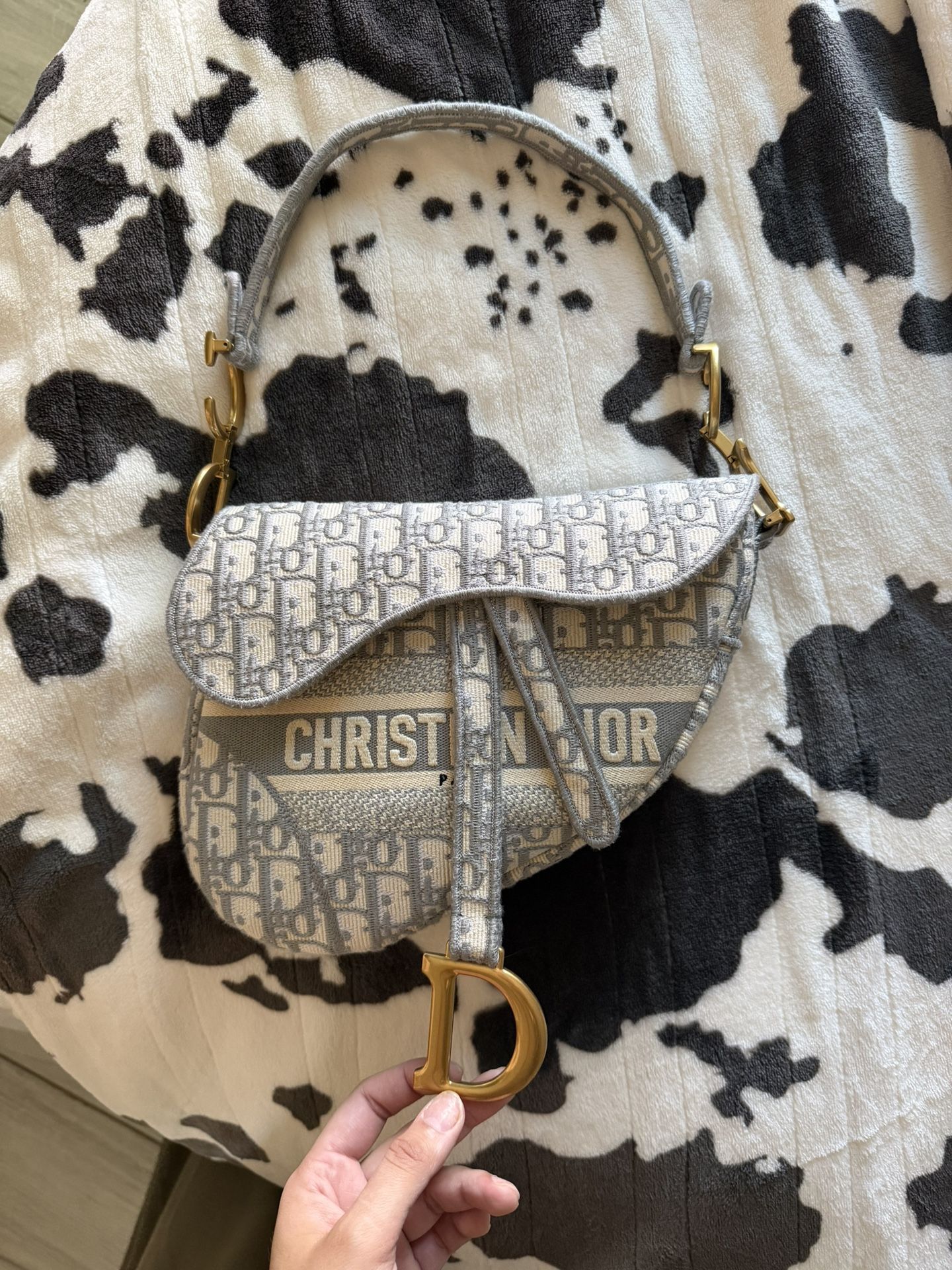 Dior Saddle Bag