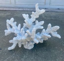 Coastal Decor: White Coral reefs