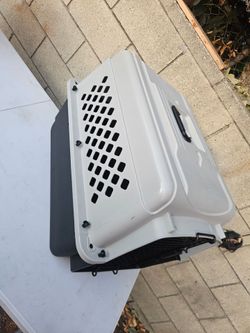 Pet Kennel