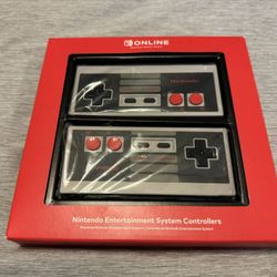 Nintendo Switch NES controller