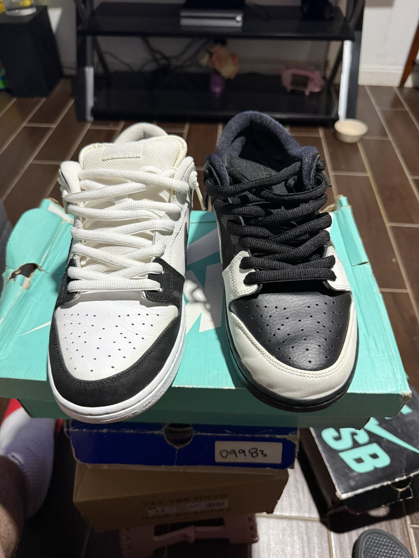Nike Sb Dunk Low 12