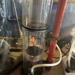 Reef Saltwater Aquarium, Fish Tank, Protein Skimmer
