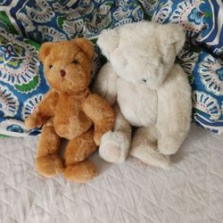 The Vermont Teddy Company 