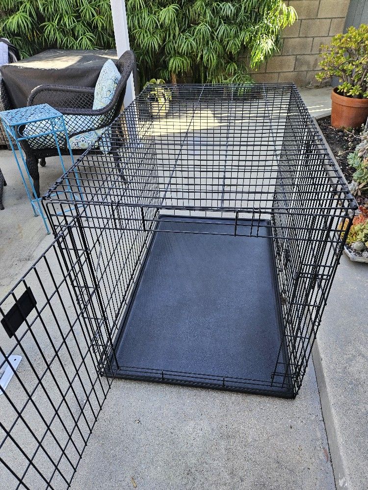 XL Dog Crate With Tray Liner