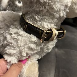 Dog Collar Small / Medium