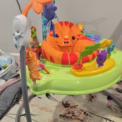 Fisher-Price Baby Bouncer Jumperoo musical activity center