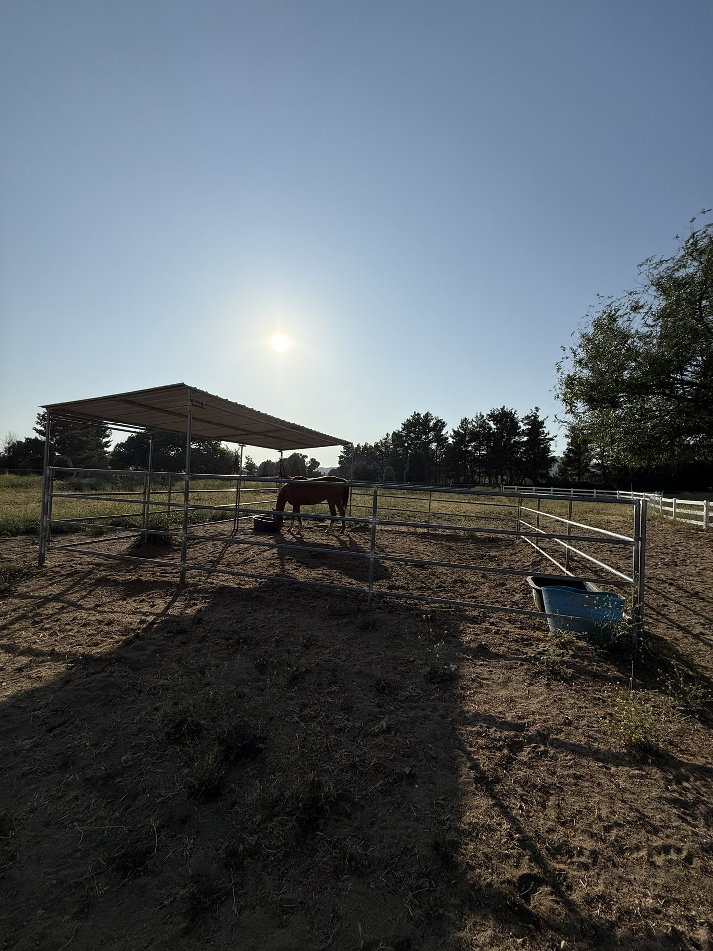 Horse Corral