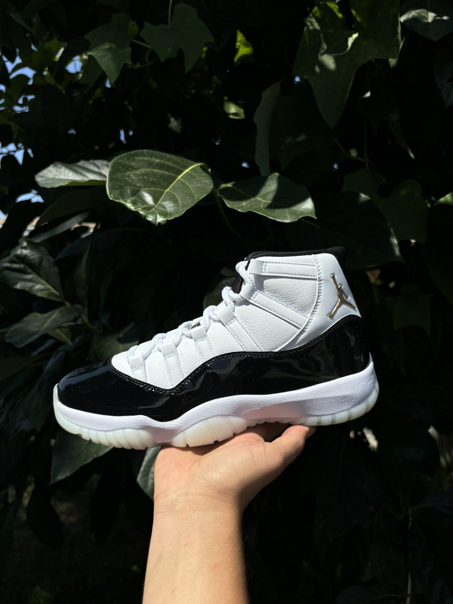 Jordan 11 Retro DMP Gratitude