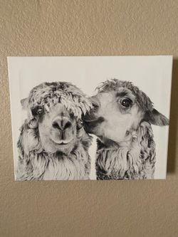Llama Decor