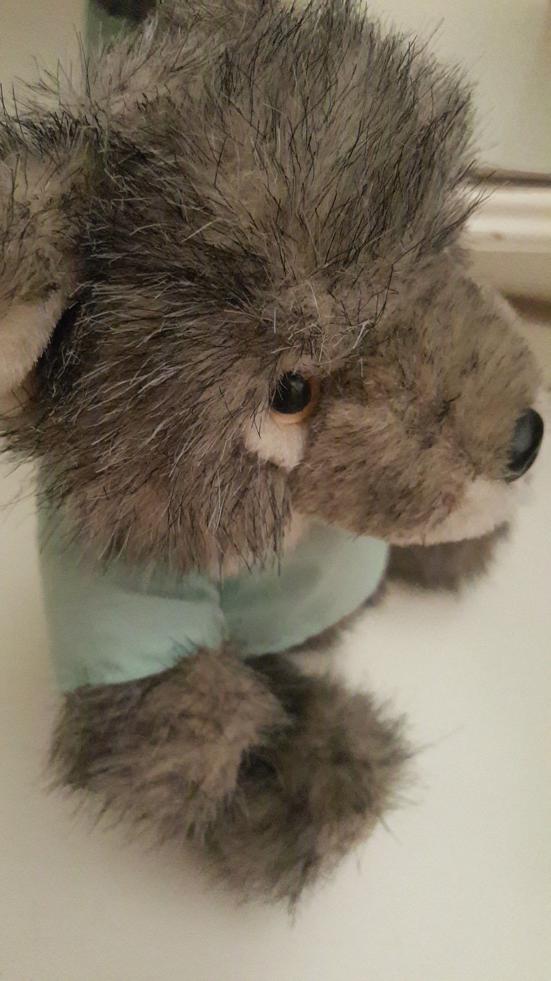 Stuffed toy fox - Richard Wolf