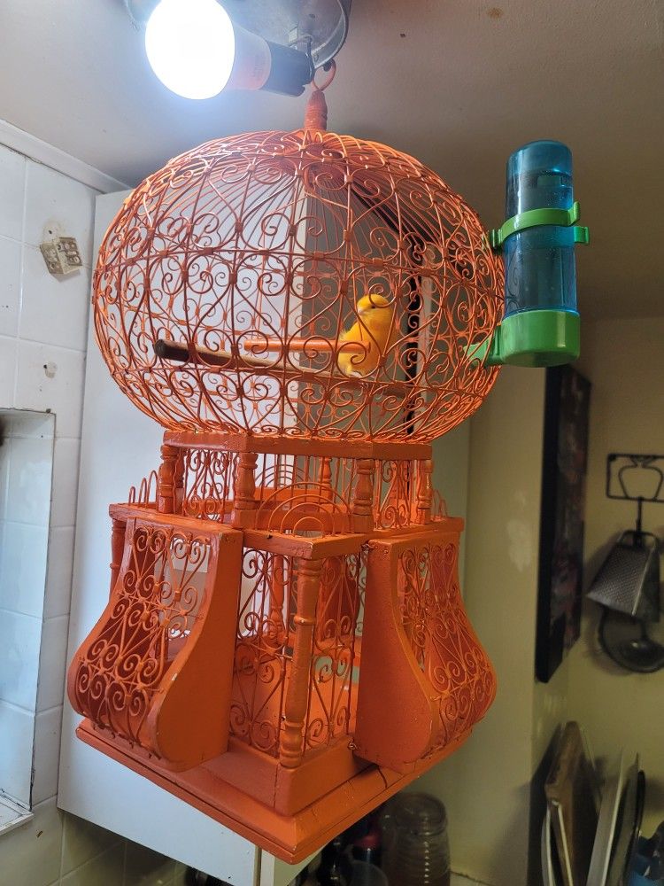 Wooden Amazing Cage