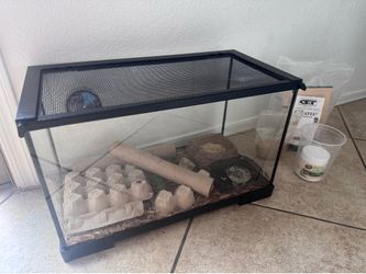 Medium Glass Terrarium