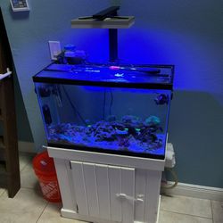 Fish Tank With Gear And Stock