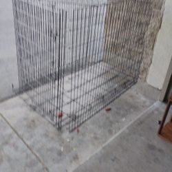 Dog Kennel🐕‍🦺🦴🐾