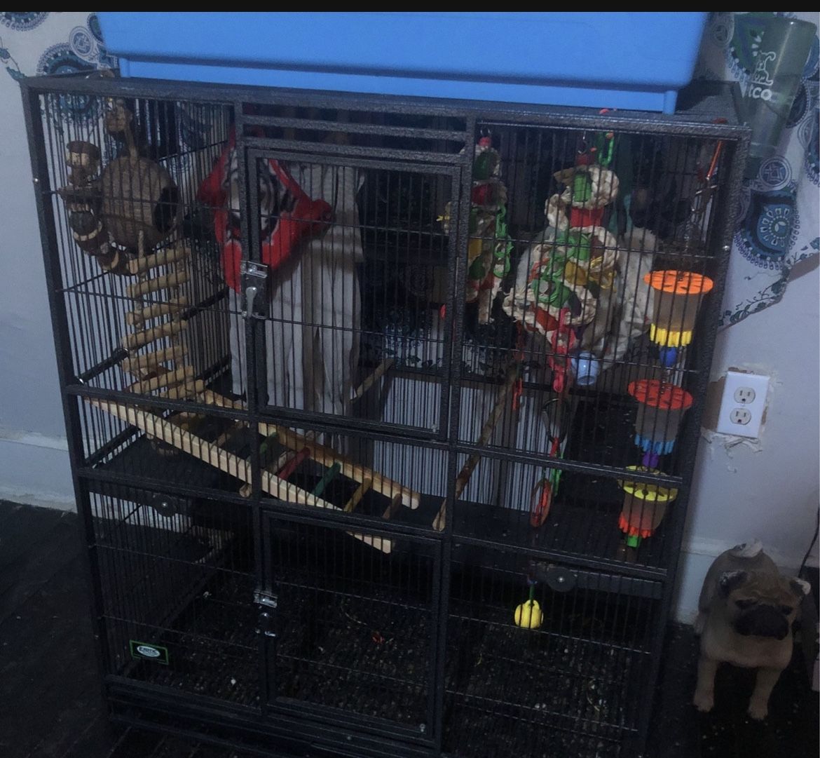 Cage