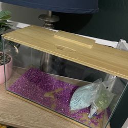 Small Fish Tank 
