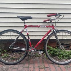 Specialized Langster Steel 
