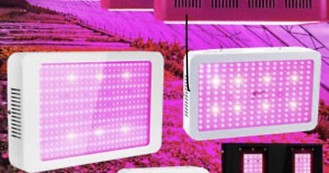 Led Grow Lights 
