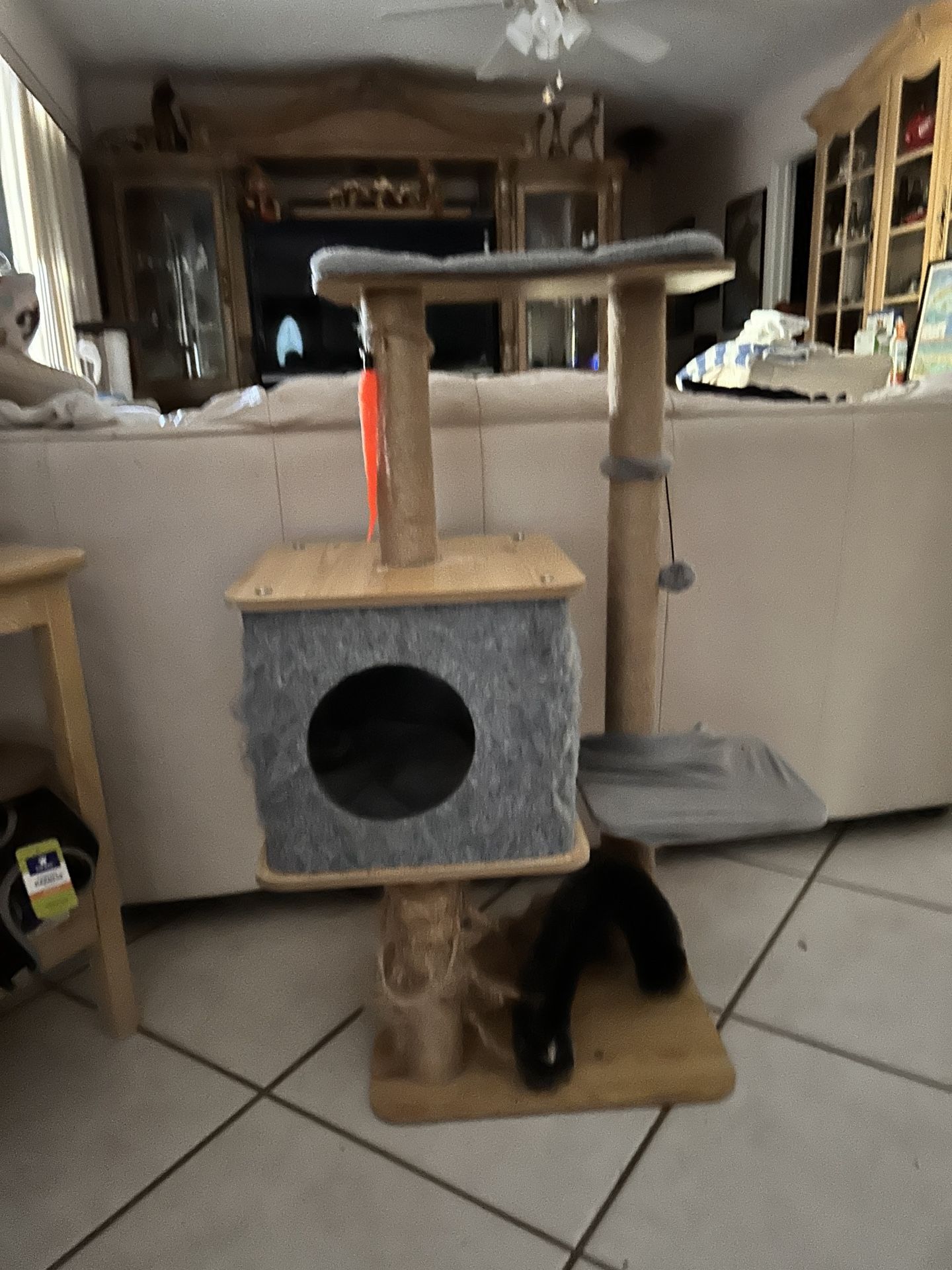 Cat Condo
