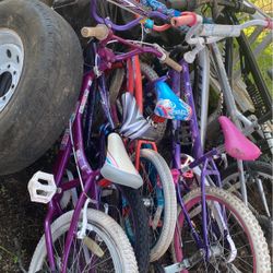 Lots Of Bikes For Sale Different Prices