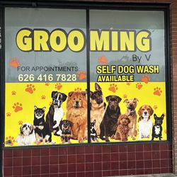 ***Dog Grooming*** Supplies