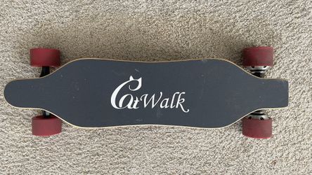 Electric Longboard Dual Motor