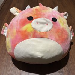 Pink & Yellow Dragon Squishmallow