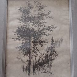 8 X 10  Tree Art By Jim Gray 1977