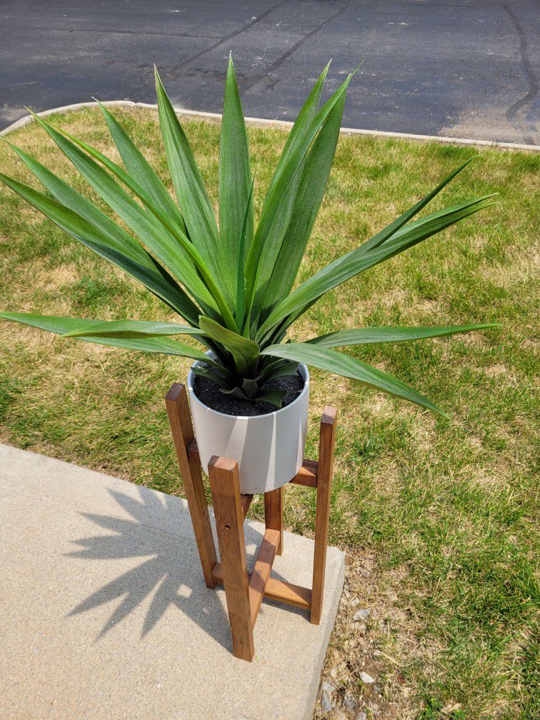 Decorative Plant Stand