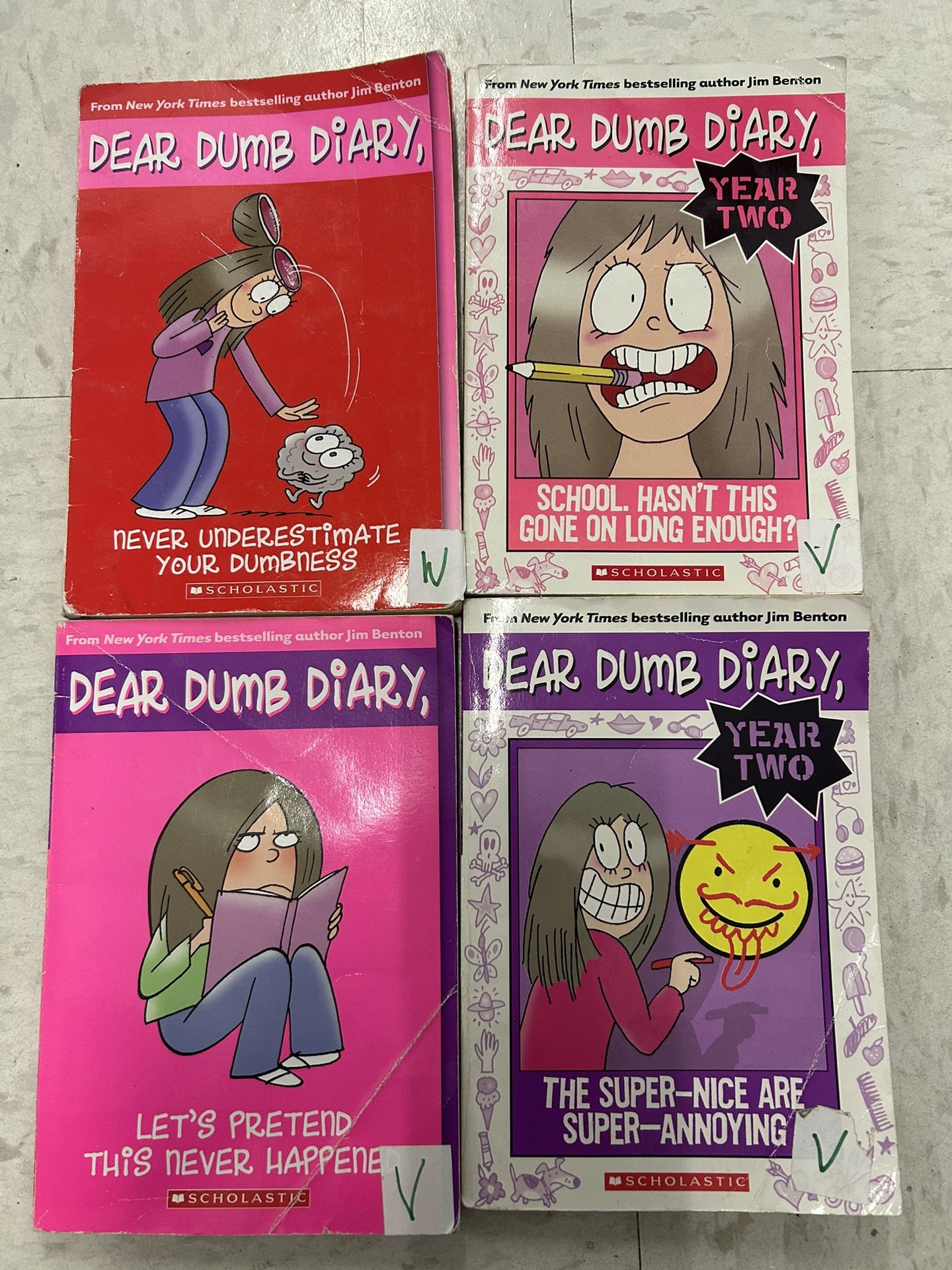 Dear Dumb Diary book series bundle of 4 