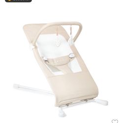Baby Bouncer Seat