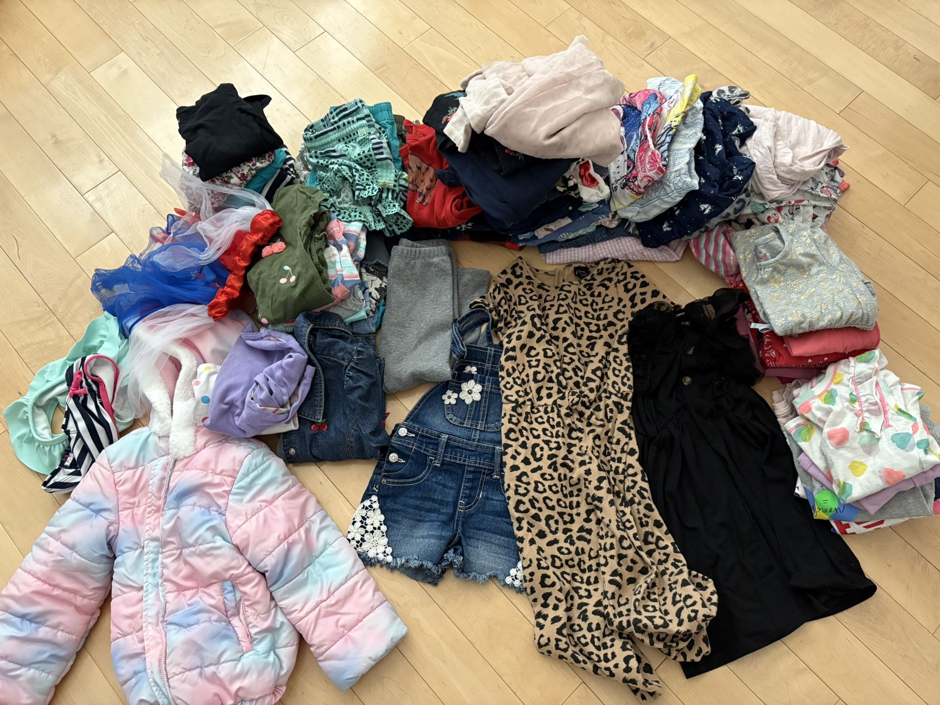 Size 4T girl clothing