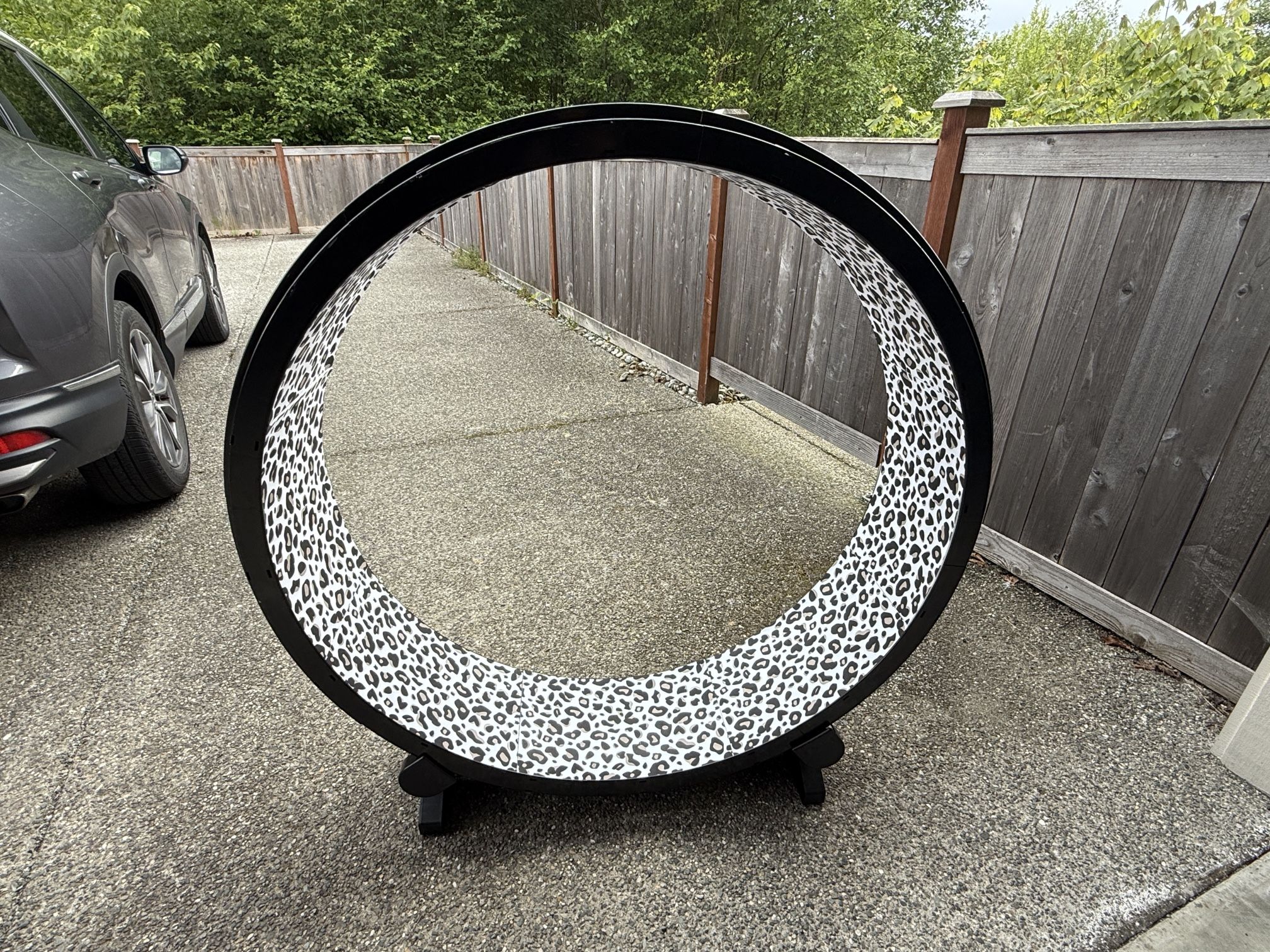 One Fast Cat Wheel