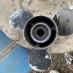 Propalé  For Boat