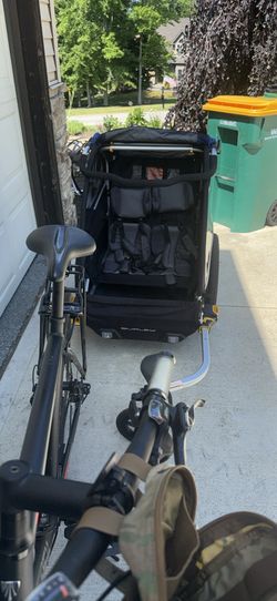 Burley D-lite trailer