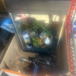 10g Fish Tank