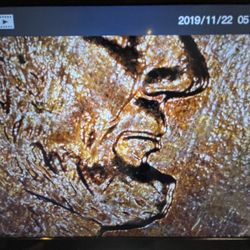 2005 D Penne Double Dye $$$750,000 Coin 