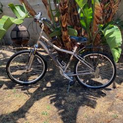 Specialized Expedition Bike 