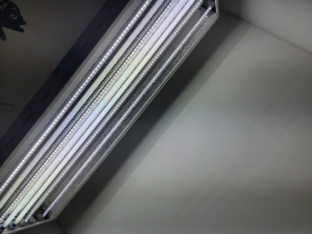 VEG Grow Light