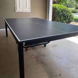 PingPong Table (No Net or Paddles)