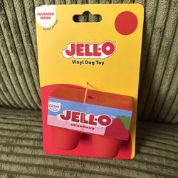 Jello dog  toy