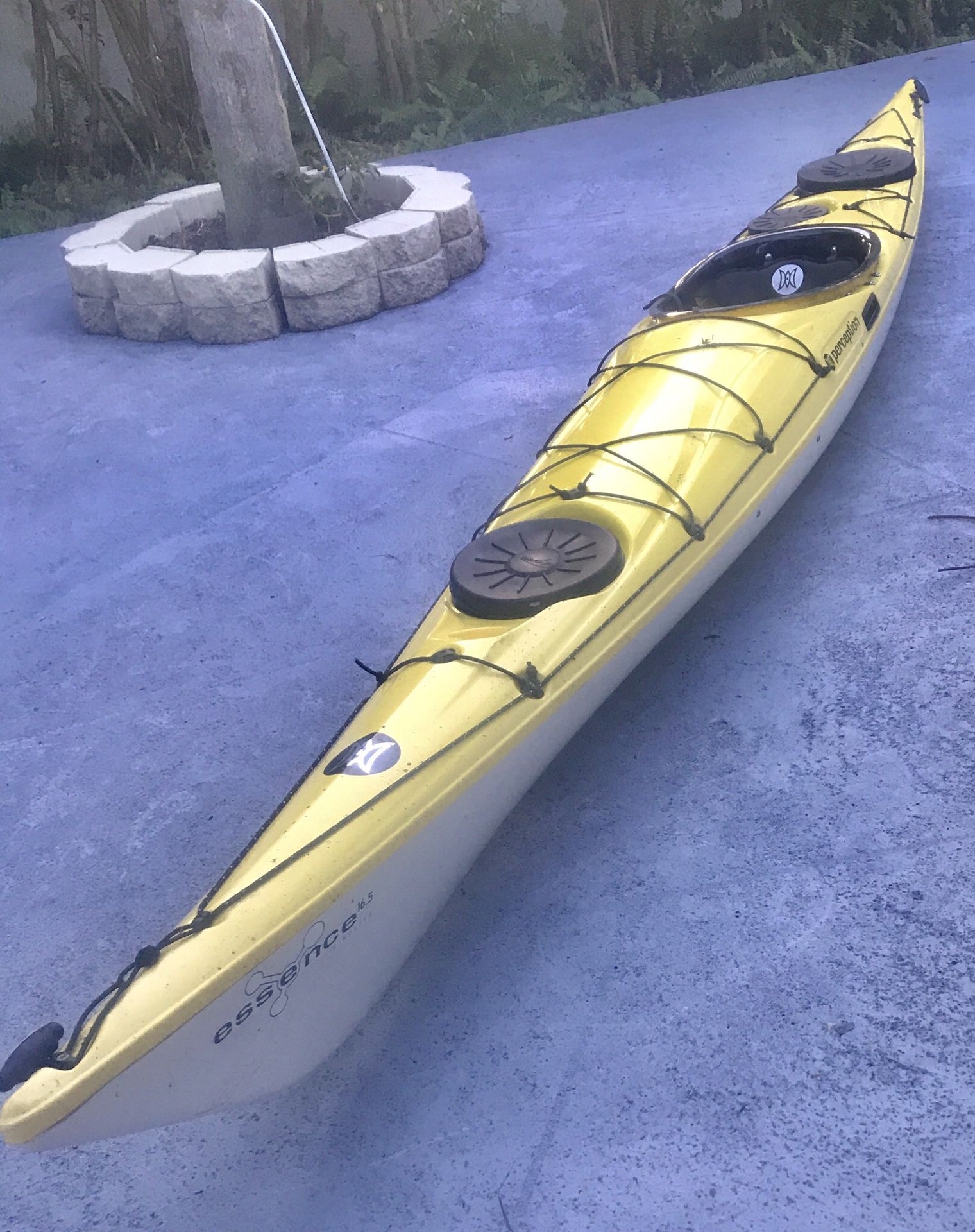 Essence 16.5 Kayak from Perception