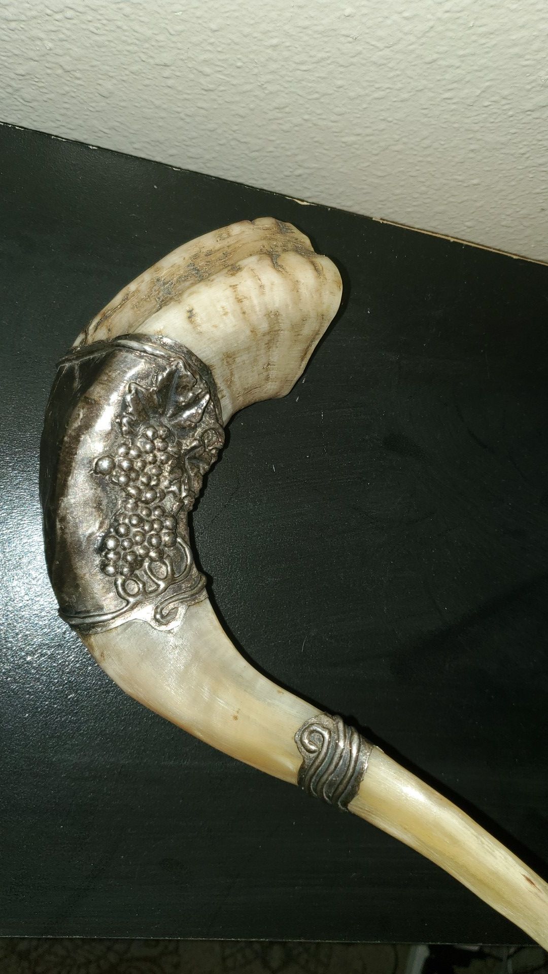 Horn