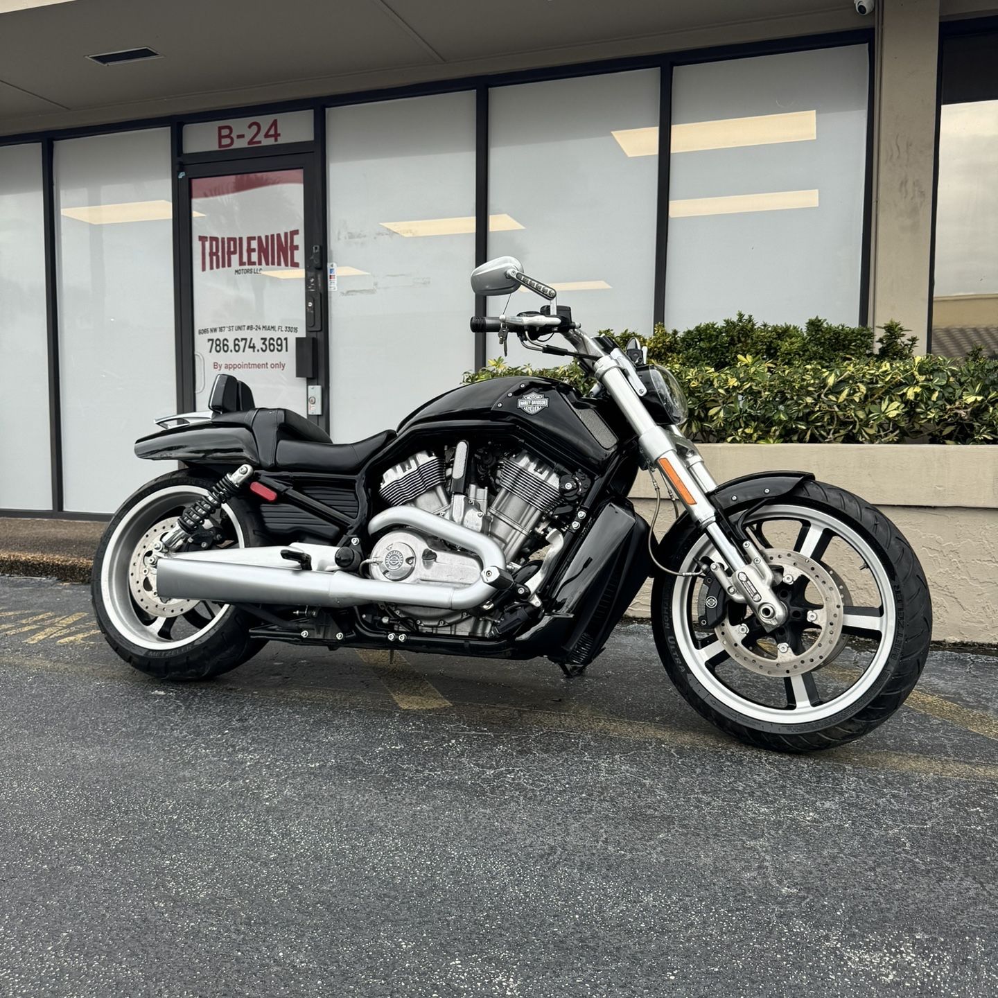 2013 Harley davidson Forty eight 1200