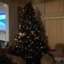 12 Foot Tree